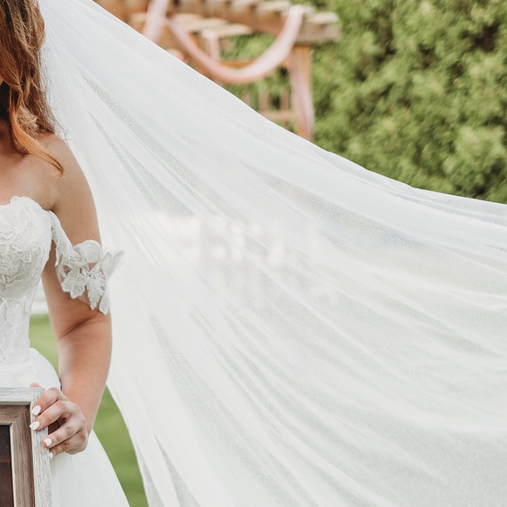 Erica Koesler Wedding Veil